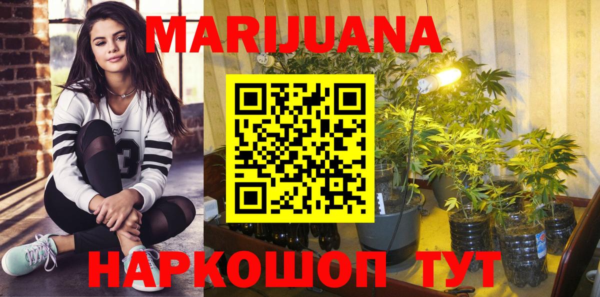 Канабис план  Вход с VPN  Рязань  Бошки Шишки конопля 